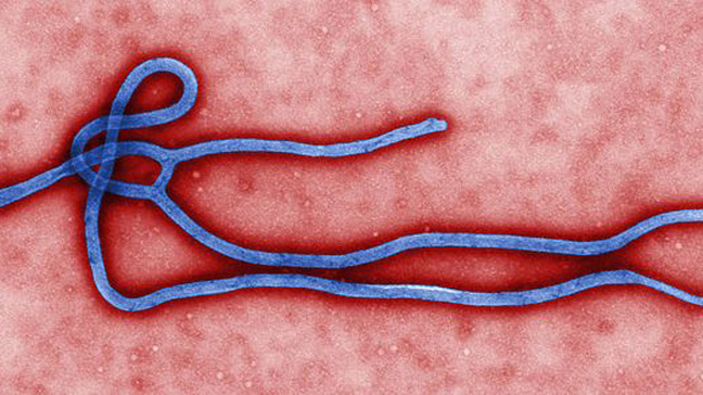India Issues Travel Alert Amid Rising Ebola Threat in Africa