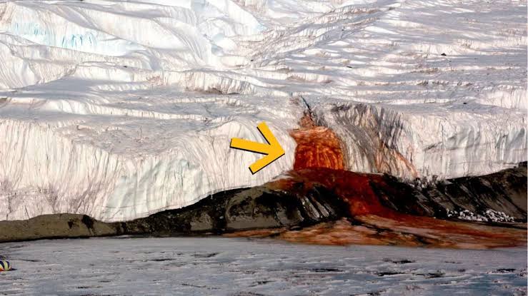 Scientists Solve Century-Old Mystery of Antarctica's Blood Falls