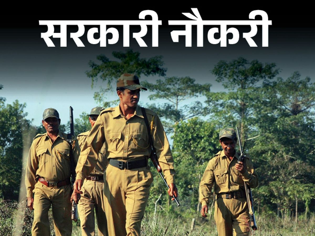 JPSC Reschedules Forest Range Officer PET, Announces New Dates for Physical Test