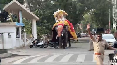 Karnataka Dasara: Elephant Runs Amok, 650-Kg Silver Howdah Falls